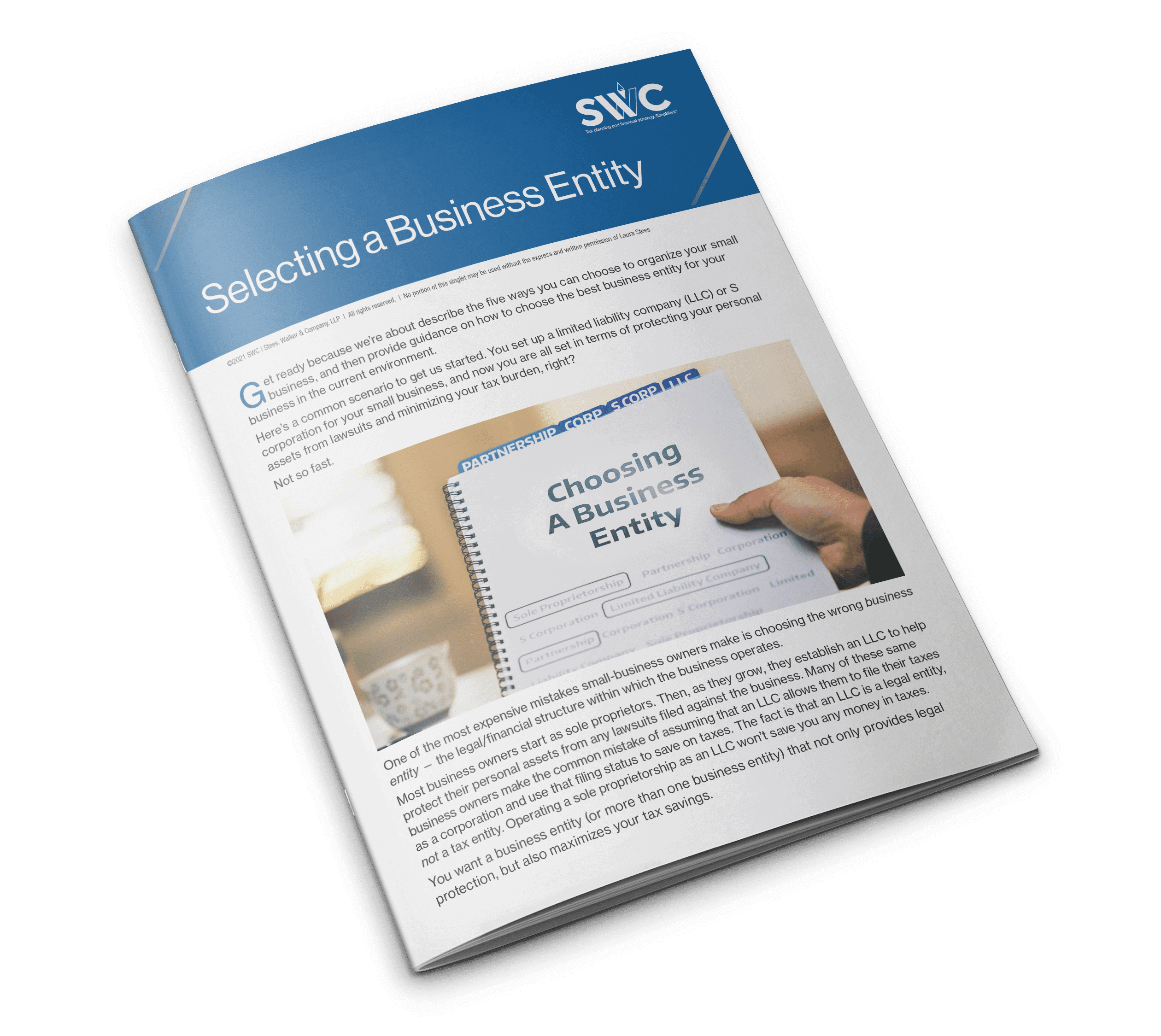 SWC Topic Singlette: Selecting a Business Entity